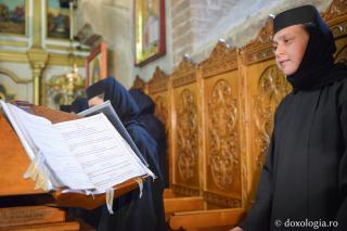 Un dar de taină, infinit și mult prea fragil numit „Iubire”