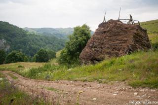 Schimonahul Gordie Pustnicul – 22 de ani de nevoinţă ascetică