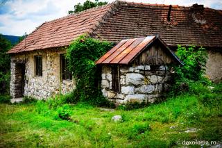 Bordeiul din pădure