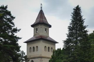 Făpturile lui Dumnezeu