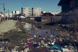 Omul în cinste fiind n-a priceput; alăturatu-s-a dobitoacelor celor fără de minte şi s-a asemănat lor