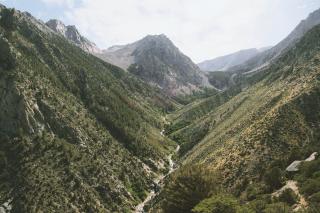 Vârful aisbergului