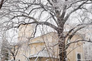 Să-L lăsăm pe Dumnezeu să le rânduiască pe toate