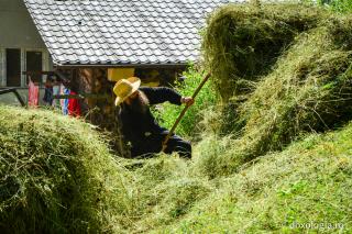 călugăr lucrând cu fânul