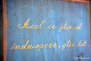 Acel ce ştie să înduioşeze, ştie tot