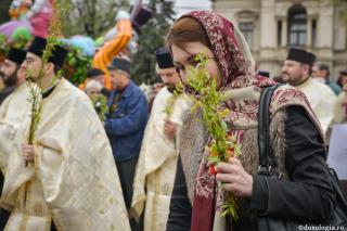 Însoțitorii luptei noastre duhovnicești