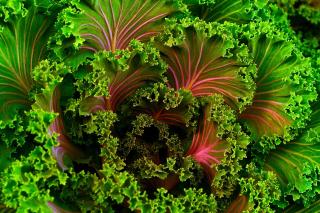 Smoothie cu efect diuretic