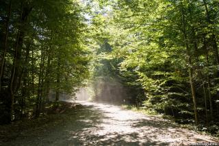 Legile naturale vs dragostea