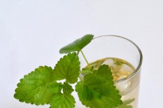 Ce puteți trata cu vin de roiniță