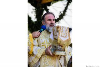Conţinutul vieţii