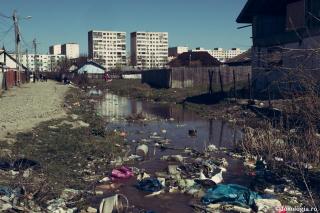 Iubirea de câștig