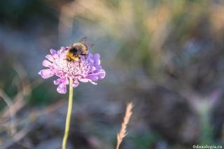 Lucrarea fizică a moralei