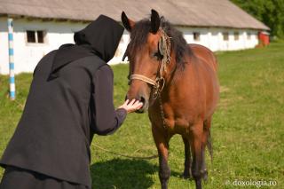 Miluiţi-vă pe voi înşivă, şi după aceea aveţi grijă şi de dobitoace