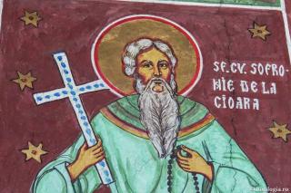 Sfântul Cuvios Sofronie de la Cioara