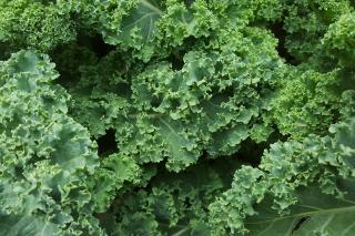 Smoothie cu efect energizant