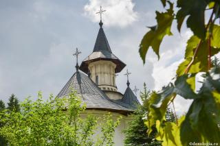 Biserica este un organism fără asemănare în lumea pământească