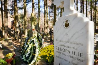 mormântul Părintelui Cleopa
