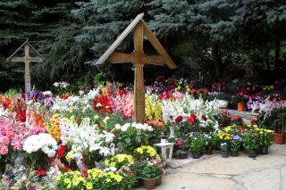 Un Părinte al neamului nostru, un mijlocitor, un călăuzitor şi ocrotitor - Apologia Părintelui Arsenie Boca