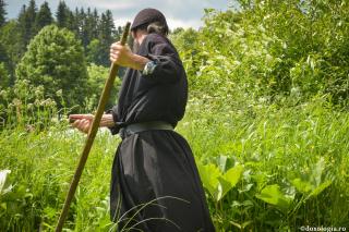 Cuviosul Arhimandrit Gheorghe – despre tăierea voii la călugări