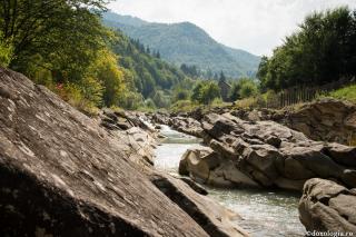 valea Tarcăului