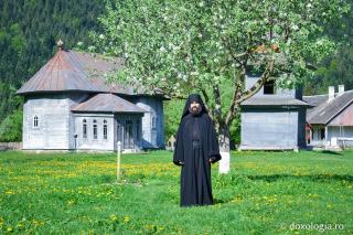 Schitul Tarcău