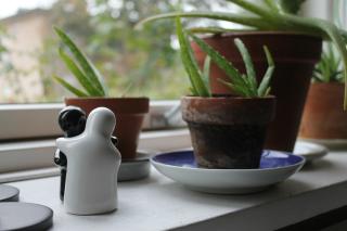 10 remedii naturale pentru acneea rozacee
