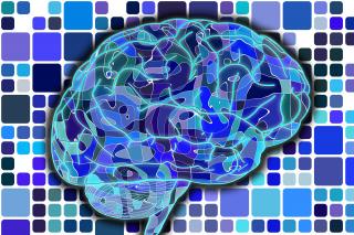 Dieta care previne maladia Alzheimer