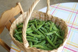 Beneficiile consumului de fasole verde