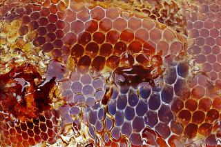 Cura cu propolis, miere și usturoi