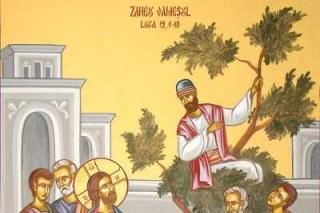 Predică la Duminica a XXXII-a după Rusalii - a lui Zaheu - Pr. Ion Cârciuleanu