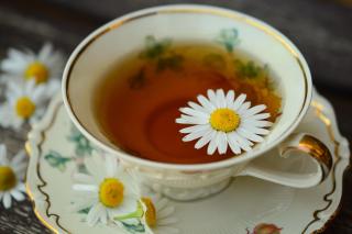 Plante care alungă durerile menstruale