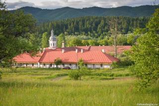 clădiri