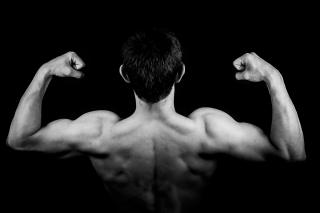 Ce trebuie să mâncați pentru un sistem muscular sănătos