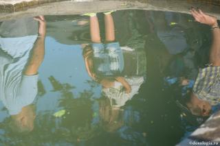 reflexie în baltă