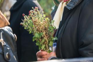 Îndoiala pentru mântuire vine de la vrăjmaș