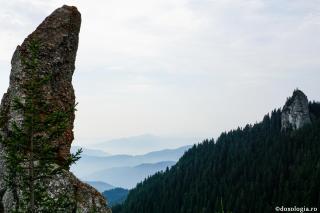 O căprioară în paradisul pierdut - Mărturisire a Sfântului Iustin Popovici (3)