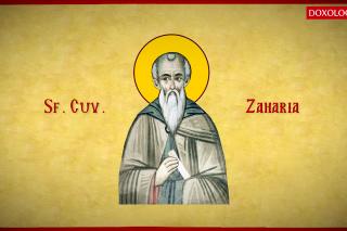 Sfântul Cuvios Zaharia