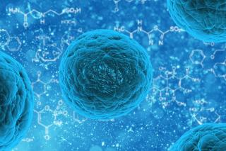 Terapia cu celule stem poate încetini evoluţia bolilor Alzheimer şi Parkinson