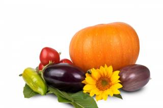 Alimentaţia în bolile reumatismale