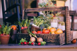 Dieta mediteraneană îmbunătățește memoria și funcțiile cognitive