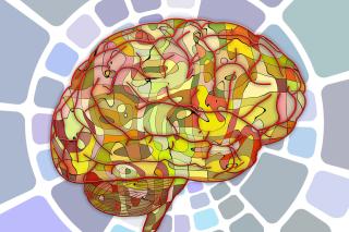 Exercițiile pentru creier menţin abilităţile cognitive pe termen lung
