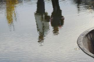 reflexie în apă