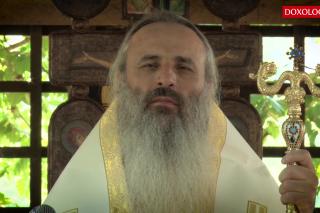 (Video) Nu există căutare mai adâncă, mai permanentă și mai continuă în viața omului decât căutarea sensului vieții - IPS Teofan