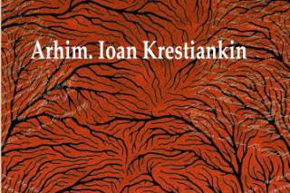 Unui fiu duhovnicesc necunoscut – Arhim. Ioan Krestiankin