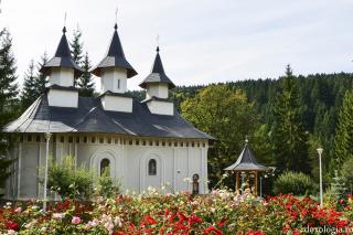 Arhitectura ansamblului monahal de la Durău