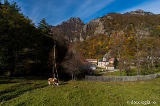 Mănăstirea Stânișoara