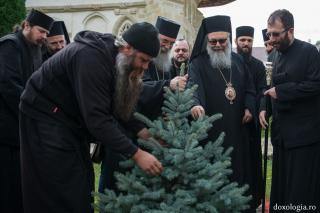 Tradiție la Mănăstirea Putna: Patriarhul Antiohiei a plantat un brad