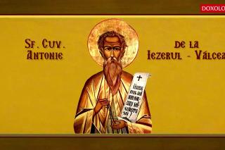Troparul Sfântului Cuvios Antonie de la Iezerul-Vâlcea