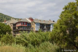Despre lepădarea de lume şi înstrăinarea Sfântului Eftimie Ivirul