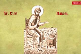 Troparul Sfântului Cuvios Marcel